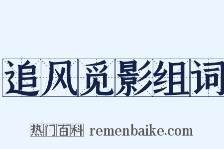 追风觅影组词是什么意思的图片